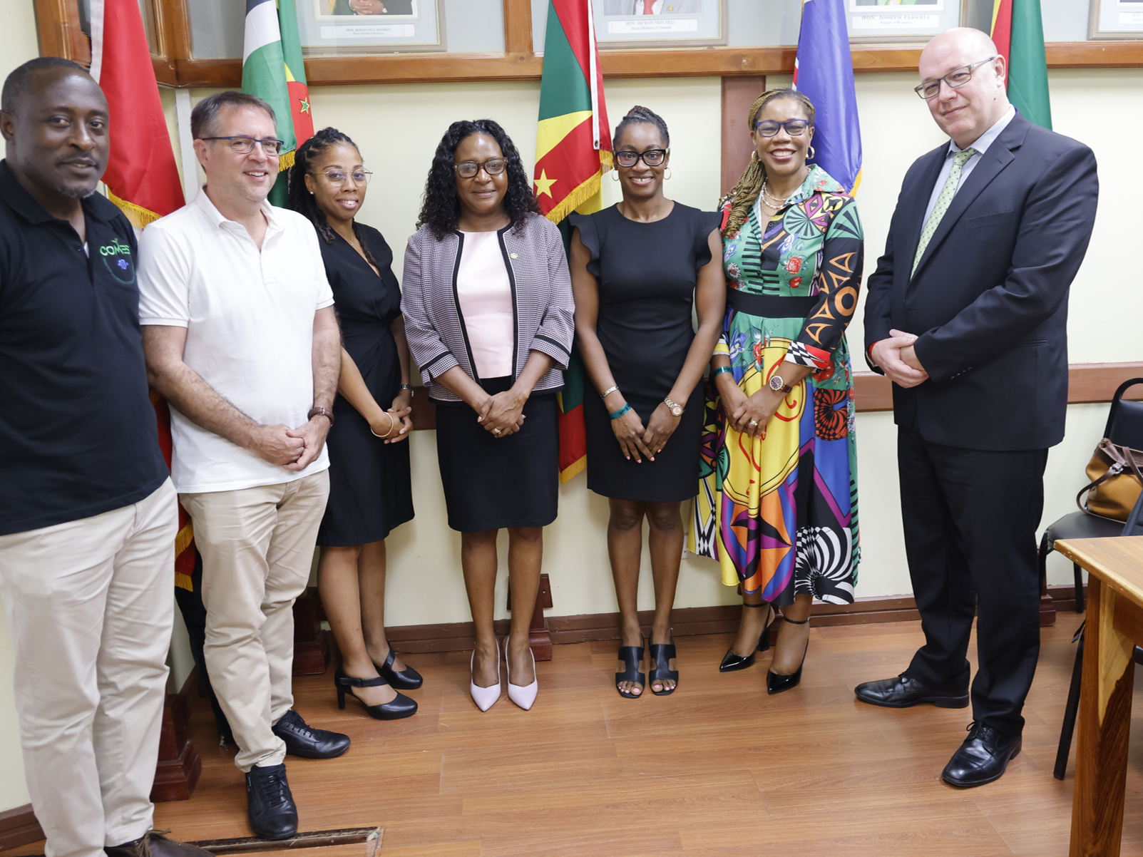 Stakeholder Engagement Session with OECS on EU/ CARIFORUM Climate Change and Health Project and Project Sustainability