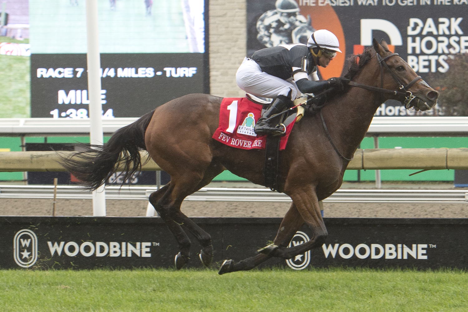 Fev Rover (IRE) and jockey Javier Castellano winning the E.P. Taylor Stakes (G1) on October 8, 2023 at Woodbine (Michael Burns Photo)