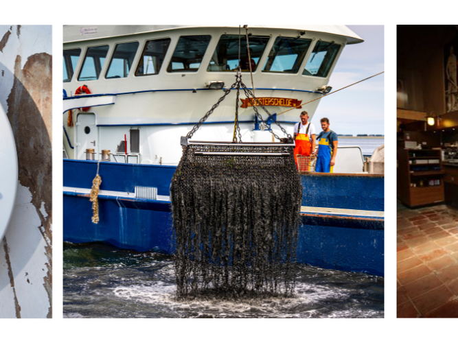 Invitation presse: Ouverture de la nouvelle saison des moules de fond de Zélande