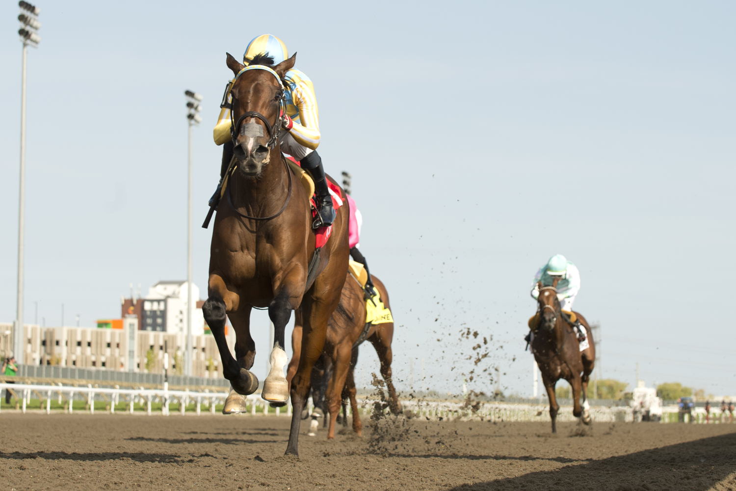 Forever Dixie and jockey Patrick Husbands winning the Ontario Damsel Stakes on October 1, 2023 at Woodbine (Michael Burns Photo) 