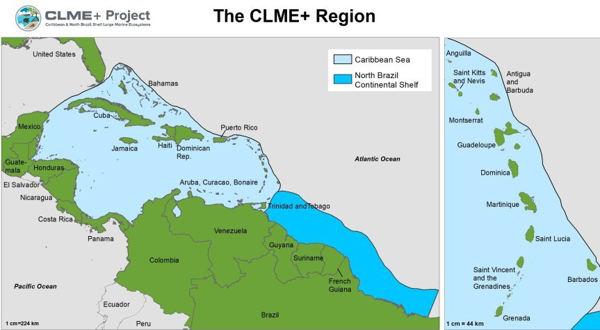 UNDP/GEF CLME+ Project launches consultancy to identify options for a Permanent Policy Coordination Mechanism and a Sustainable Financing Plan for ocean governance in the CLME+ Region
