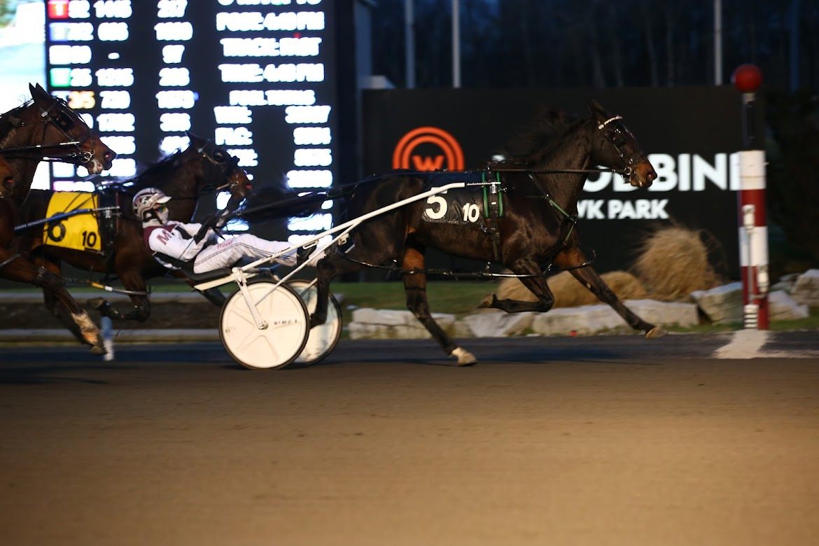 Awesome Hill and driver Doug McNair earn the Niagara Pacing Series Final, sweeping the Series, for owner Tom Hill and trainer Chantal Mitchell. (New Image media) 