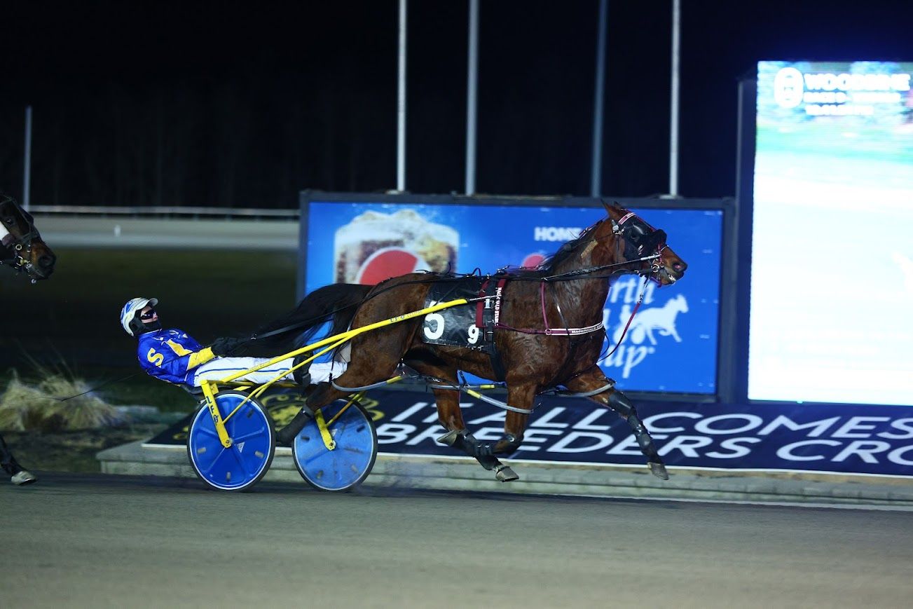Saulsbrook Victor and driver Austin Sorrie winning on January 7, 2023 at Woodbine Mohawk Park (New Image Media)