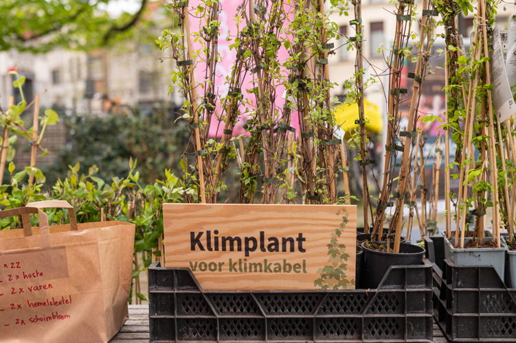 (c) Wim Hadermann