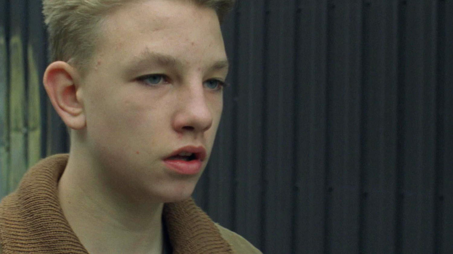 Le fils