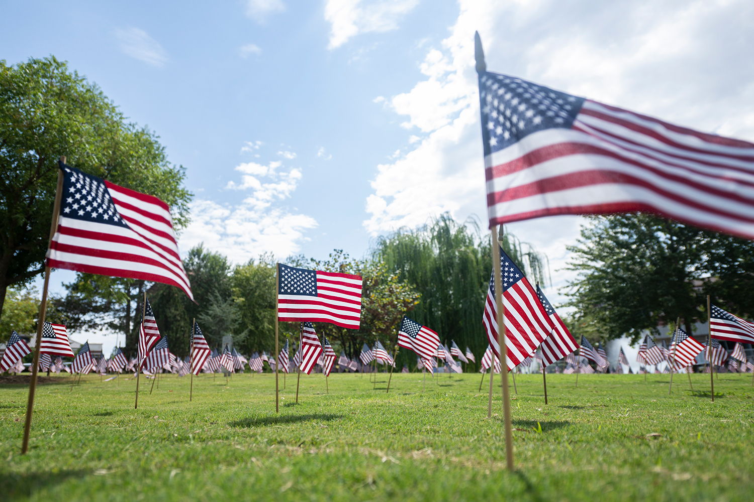 American Flags planted in the ground on the UCO campus.