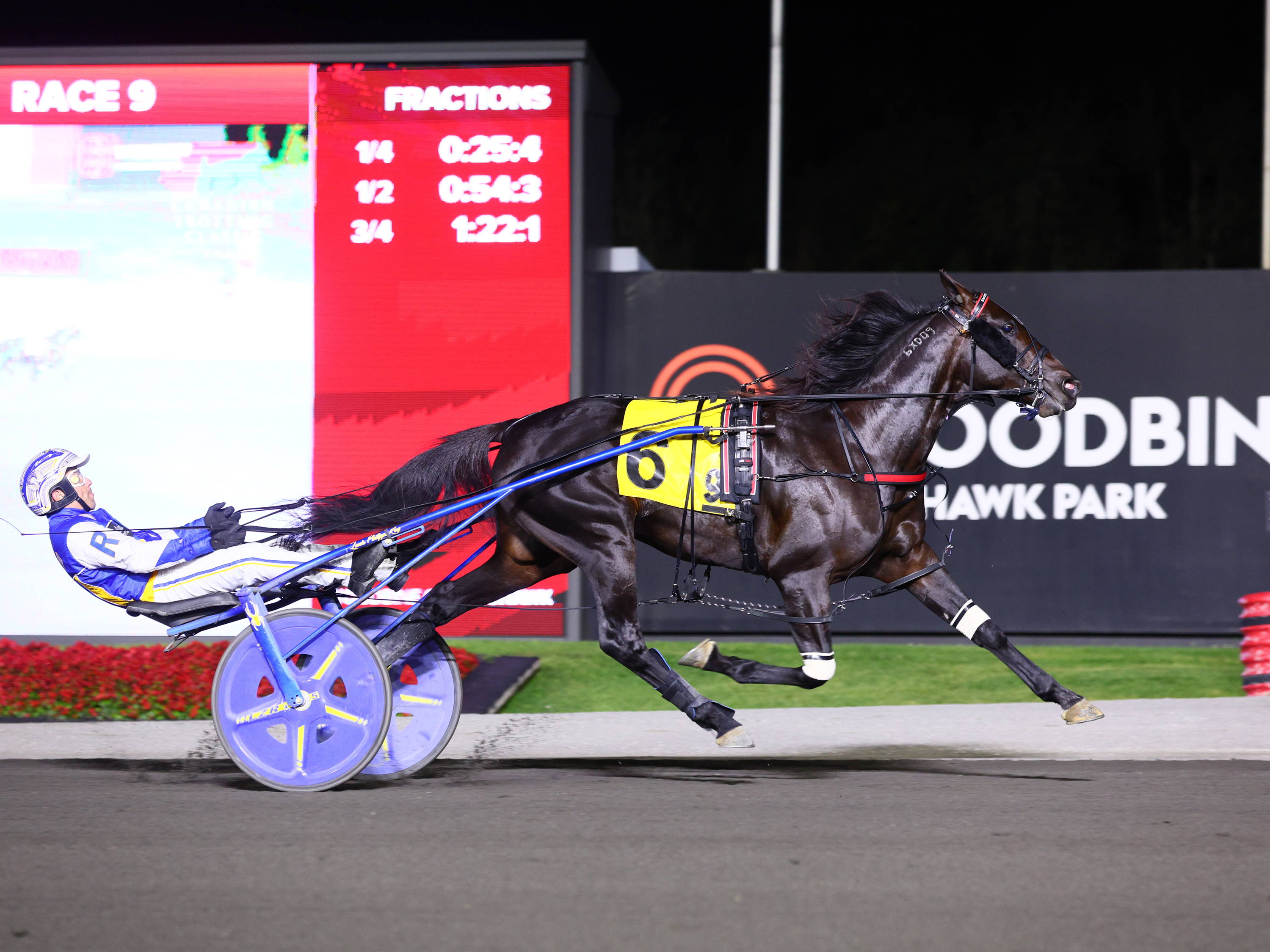 Emoticon Legacy Shatters Records in Canadian Trotting Classic