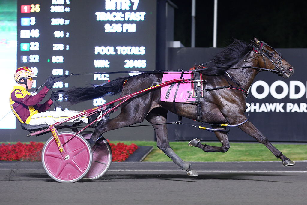 Tregaron winning the 2024 Millard Farms Series Final. (New Image Media) Tregaron winning the 2024 Millard Farms Series Final. (New Image Media)