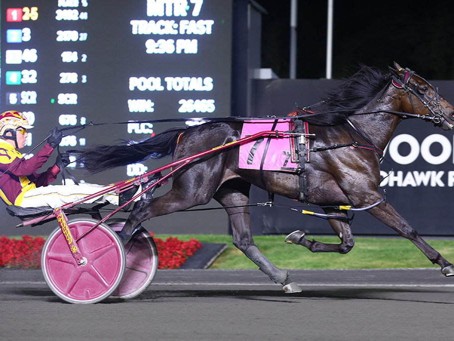 Mohawk Park’s 2-Year-Old Summer Series Return 