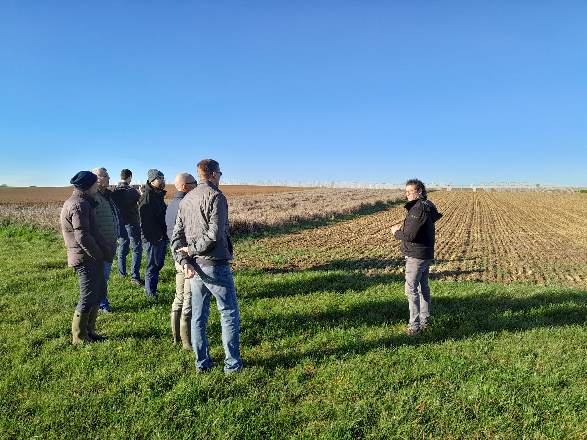 Landbouwers en VLM-medewerkers krijgen uitleg van VLM-bedrijfsplanner Martijn Erkens aan een perceel met een innovatieve beheerovereenkomst in Montenaken. De afwisseling tussen overstaand graan en ingezaaide stoppelstroken is hier duidelijk zichtbaar. Landbouwers en VLM-medewerkers krijgen uitleg van VLM-bedrijfsplanner Martijn Erkens aan een perceel met een innovatieve beheerovereenkomst in Montenaken. De afwisseling tussen overstaand graan en ingezaaide stoppelstroken is hier duidelijk zichtbaar.