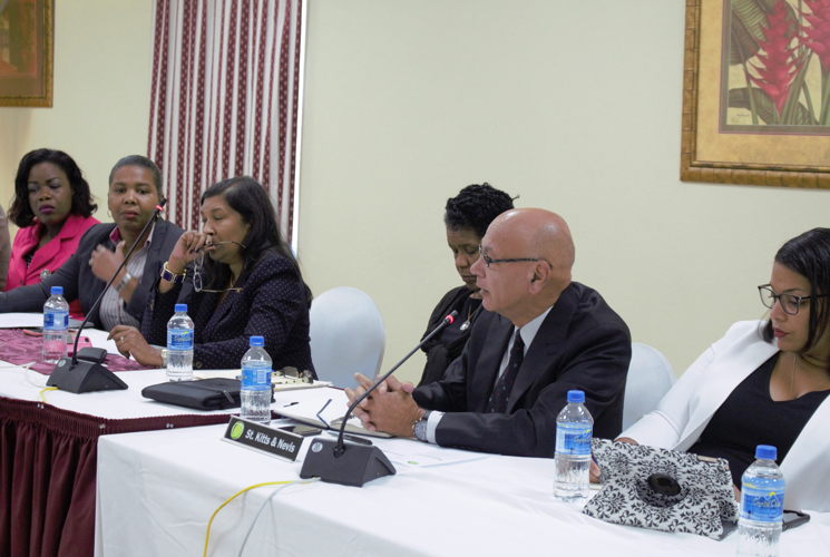 Representative from St. Kitts and Nevis makes brief remarks.