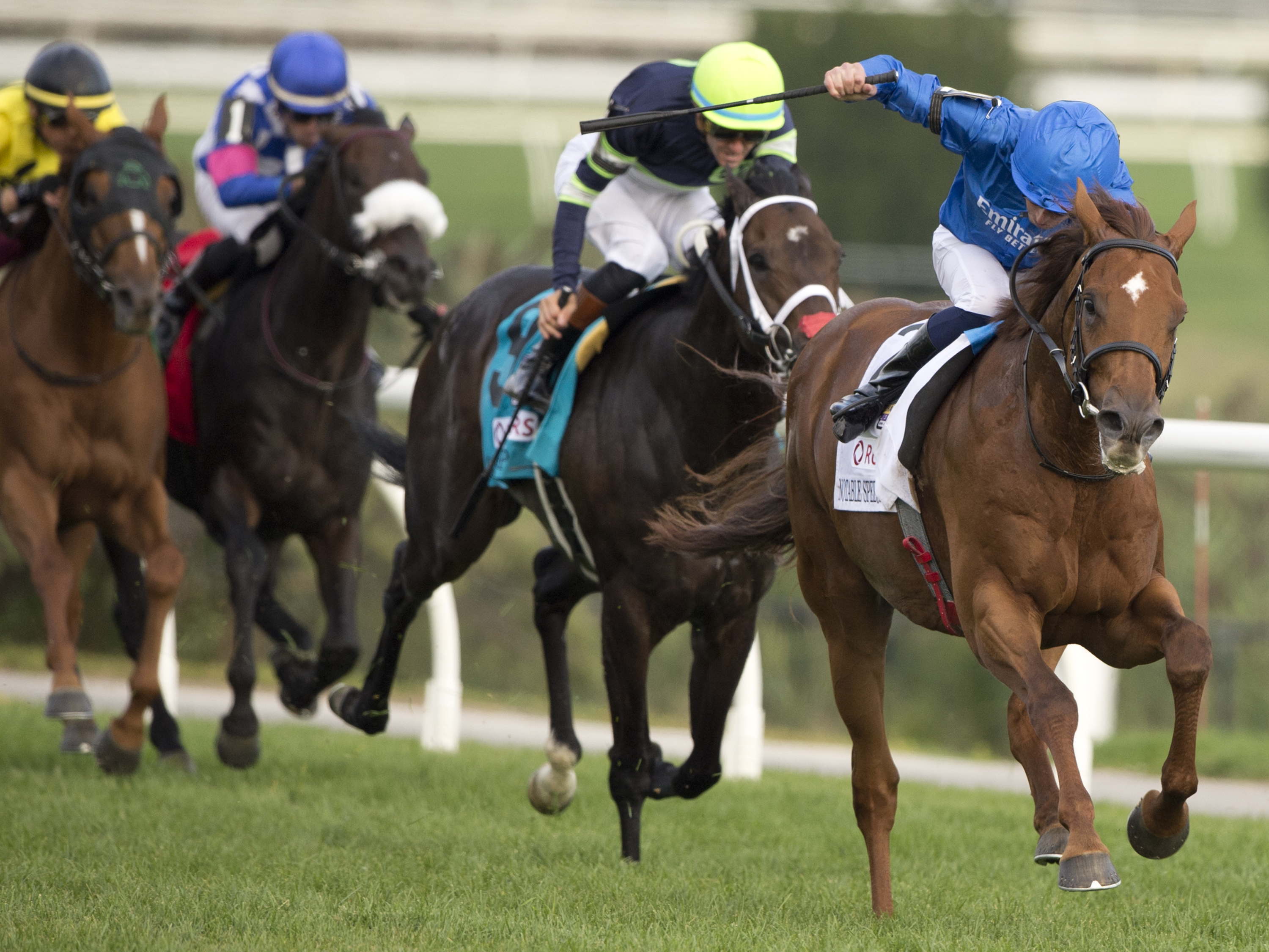 2025 Turf Champions Day generates strong numbers at Woodbine  