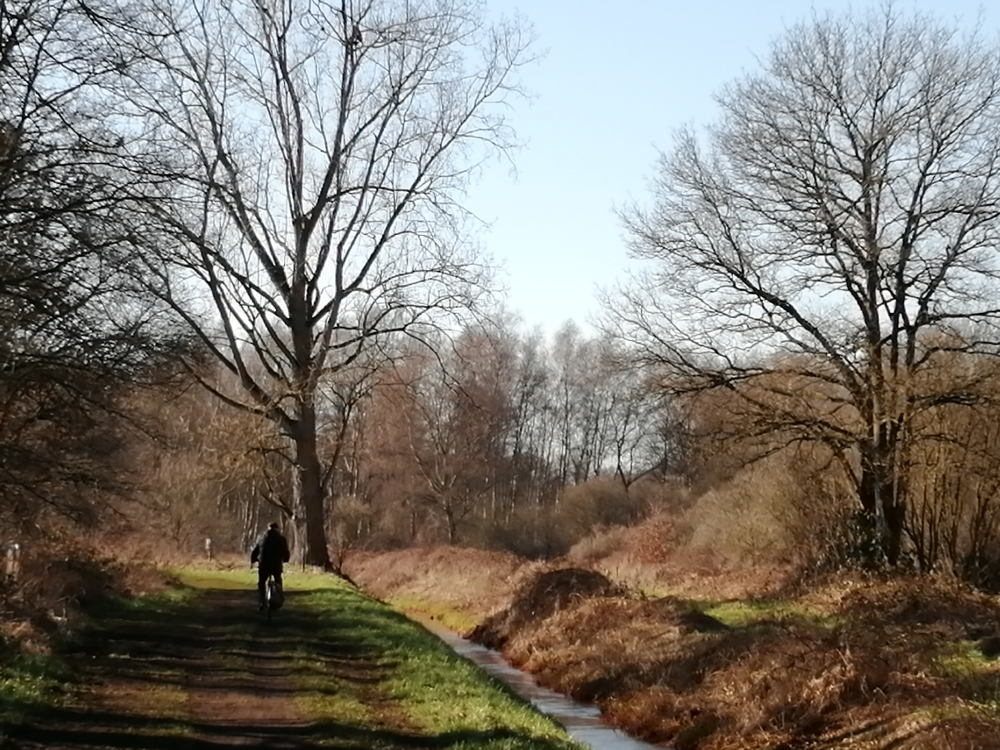 de Mangelbeek