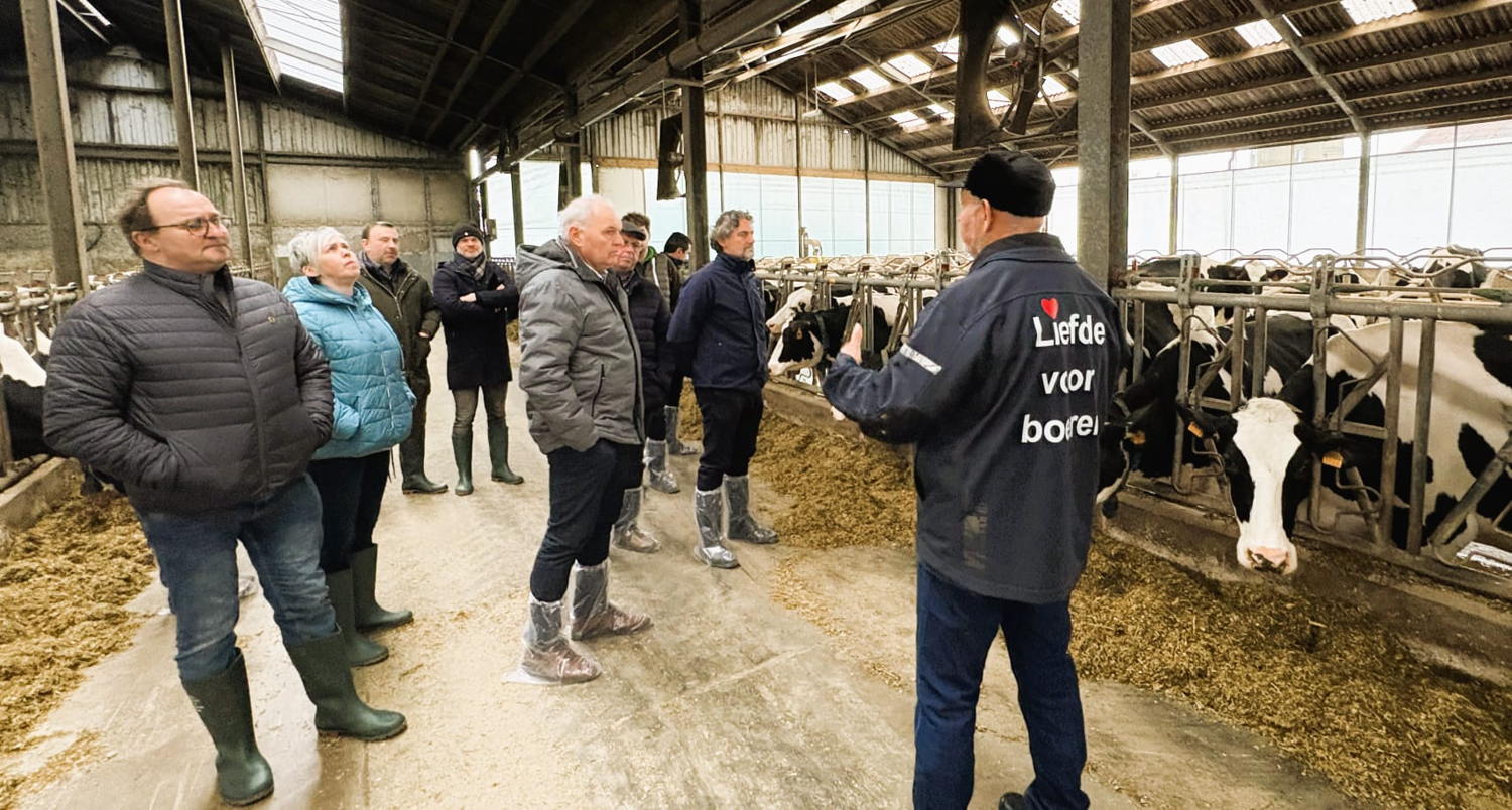 Melkveebedrijf in Peer