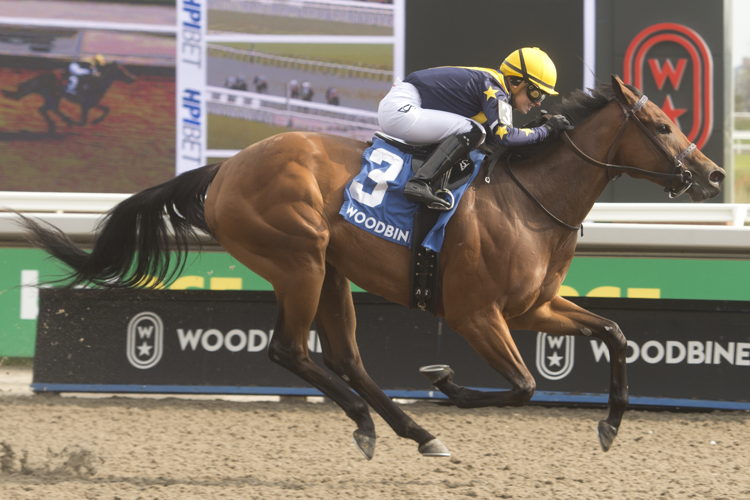 Sabatini and jockey Sofia Vives winning the Star Shoot Stakes on Opening Day (April 27) 2024 at Woodbine (Michael Burns Photo)