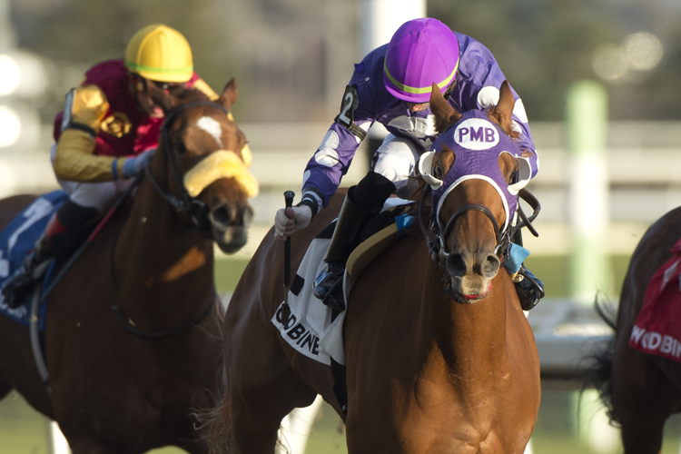 Jim's Hope and jockey Sahin Civaci winning the Lake Ontario Stakes on November 10, 2023 at Woodbine (Michael Burns Photo)