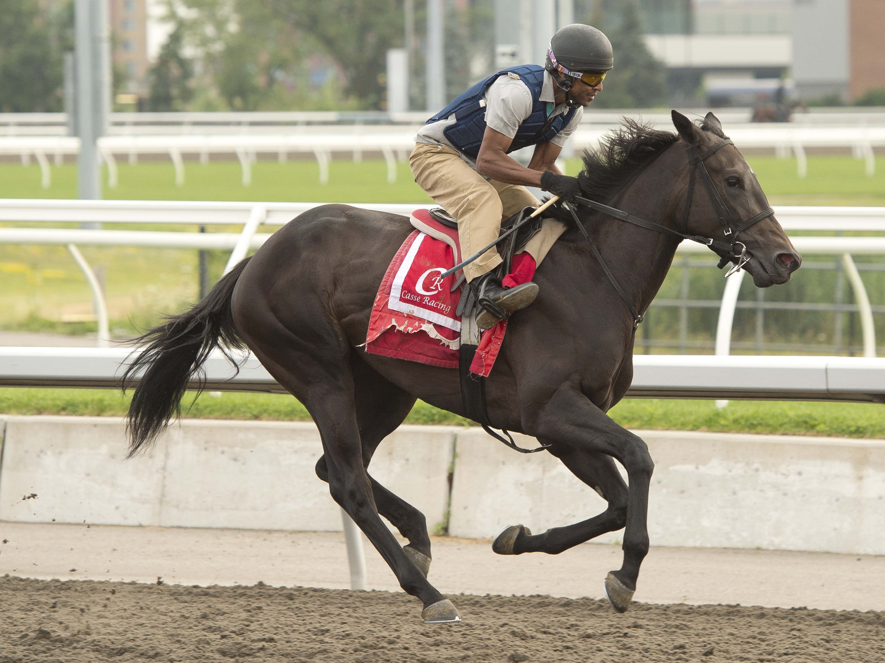 A wide-open Woodbine Oaks part of stellar stakes-filled Sunday 