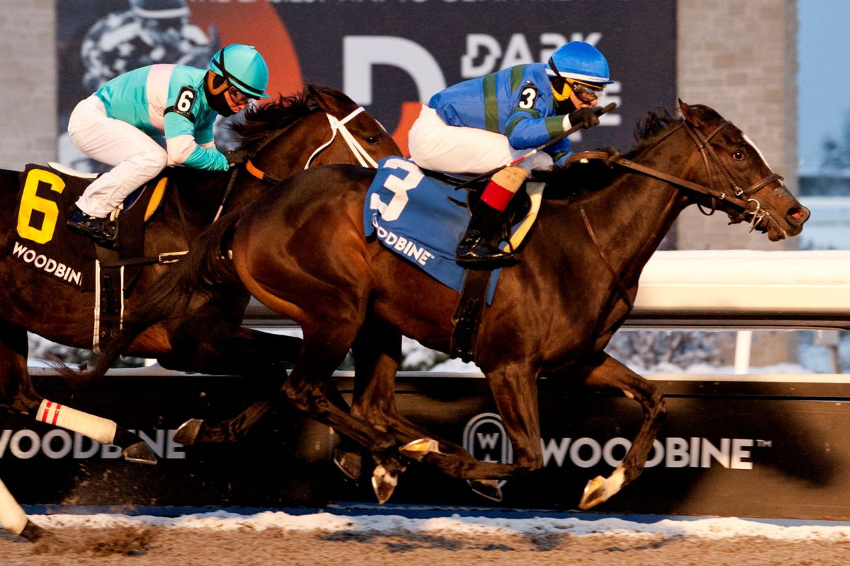 Mrs. Barbara and Rafael Hernandez topped a strong Mazarine Stakes (G3) field on a snowy Sunday in November at Woodbine. (Michael Burns Photo)