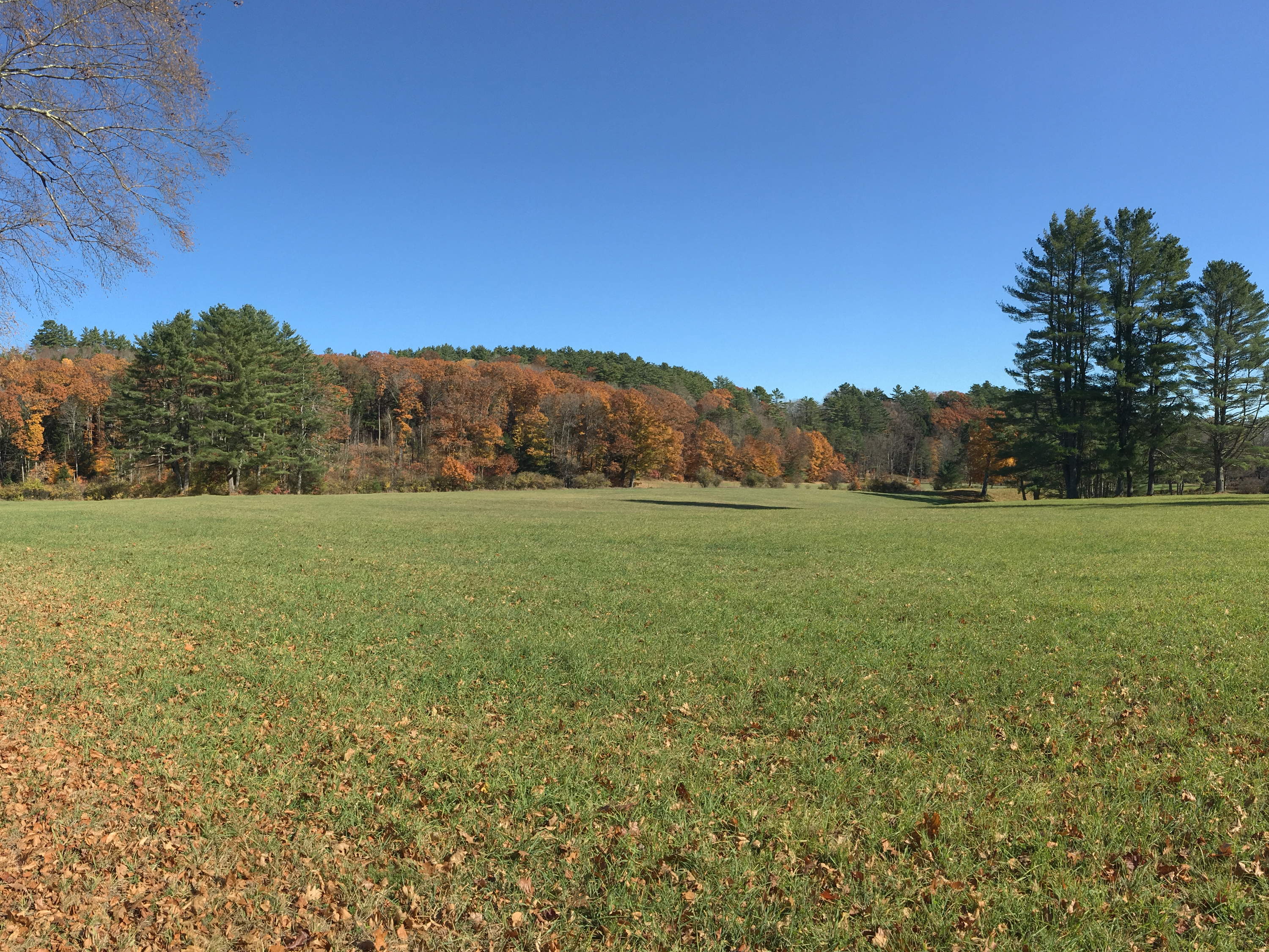 Land Trust Completes Purchase of Hartland Property