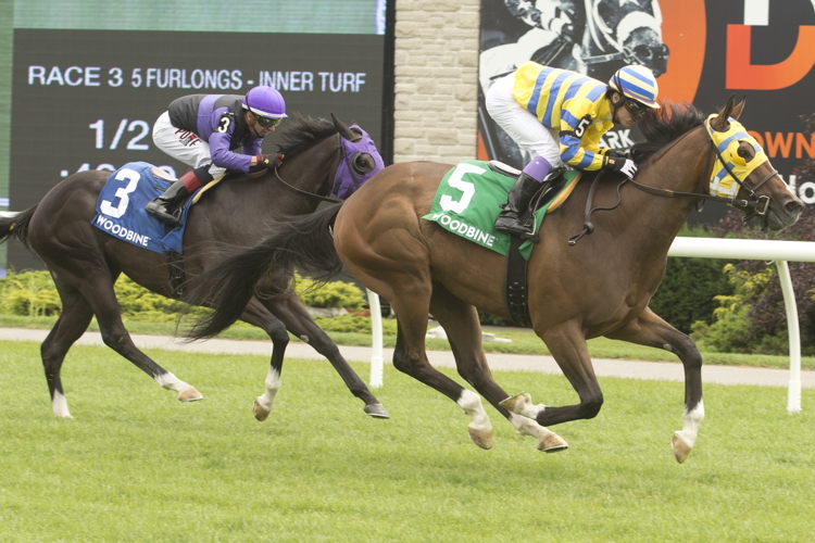Patches O'Houlihan and jockey Daisuke Fukumoto winning the Lake Huron Stakes on July 8, 2023 (Michael Burns Photo)