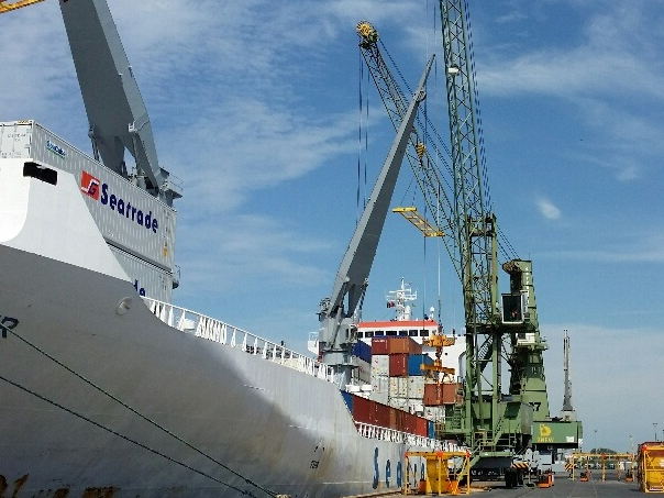 Les premiers navires-frigos annoncent la saison du kiwi néo-zélandais 
