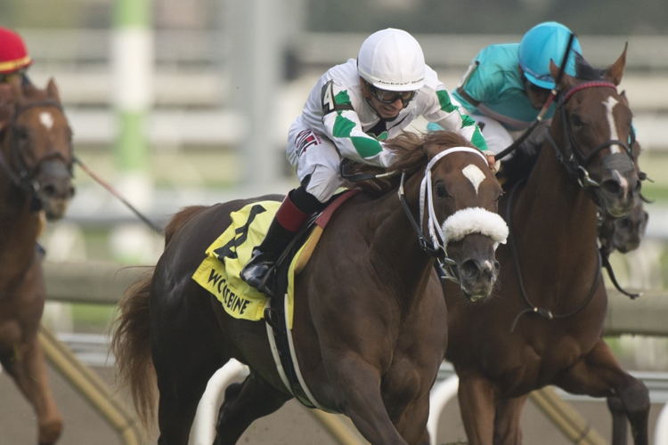 Last Call and jockey Rafael Hernandez winning the Johnnie Walker Natalma Stakes on Saturday at Woodbine (Michael Burns Photo)