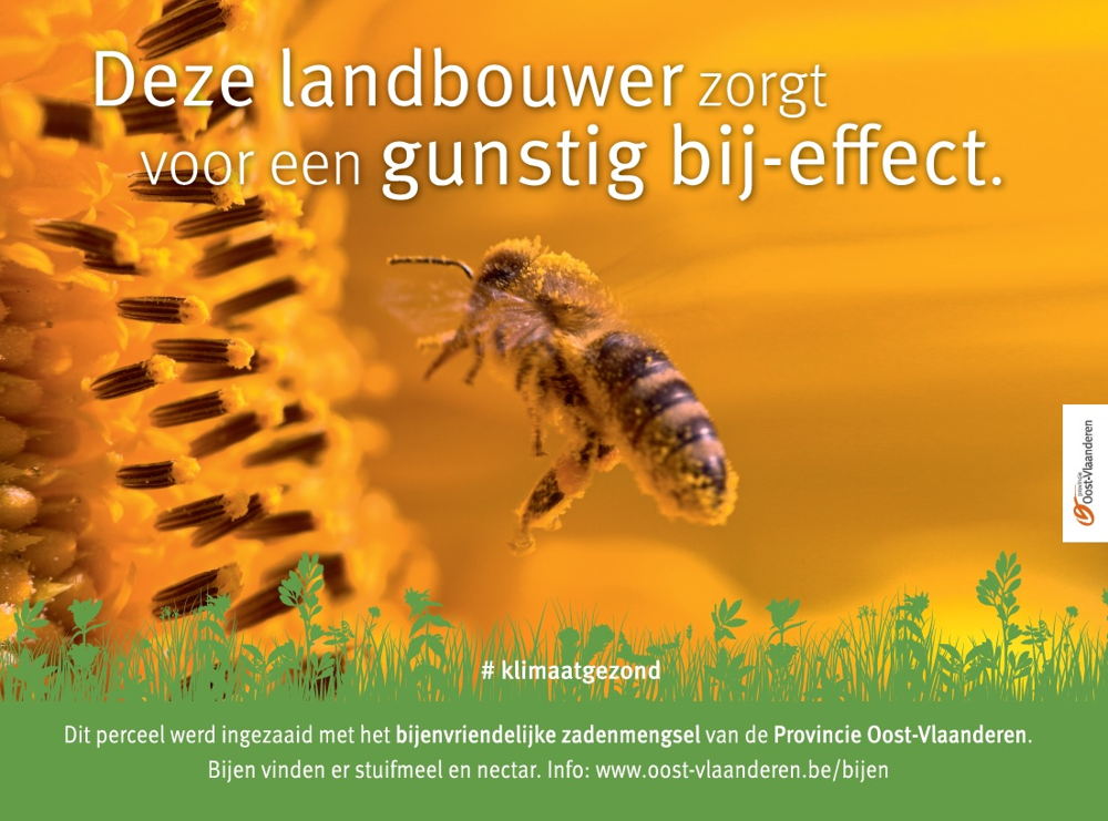 infobord bijenvriendelijke percelen
