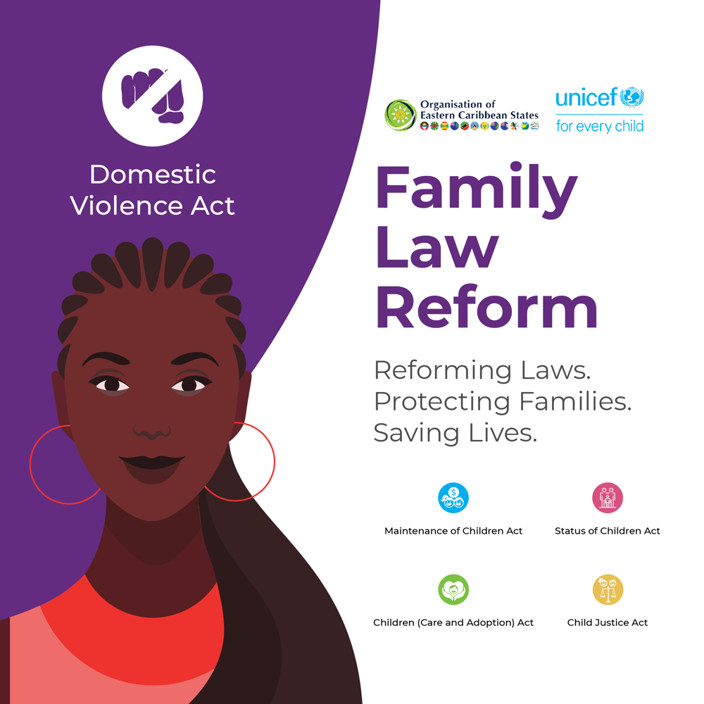 Social media post on the Domestic Violence Act