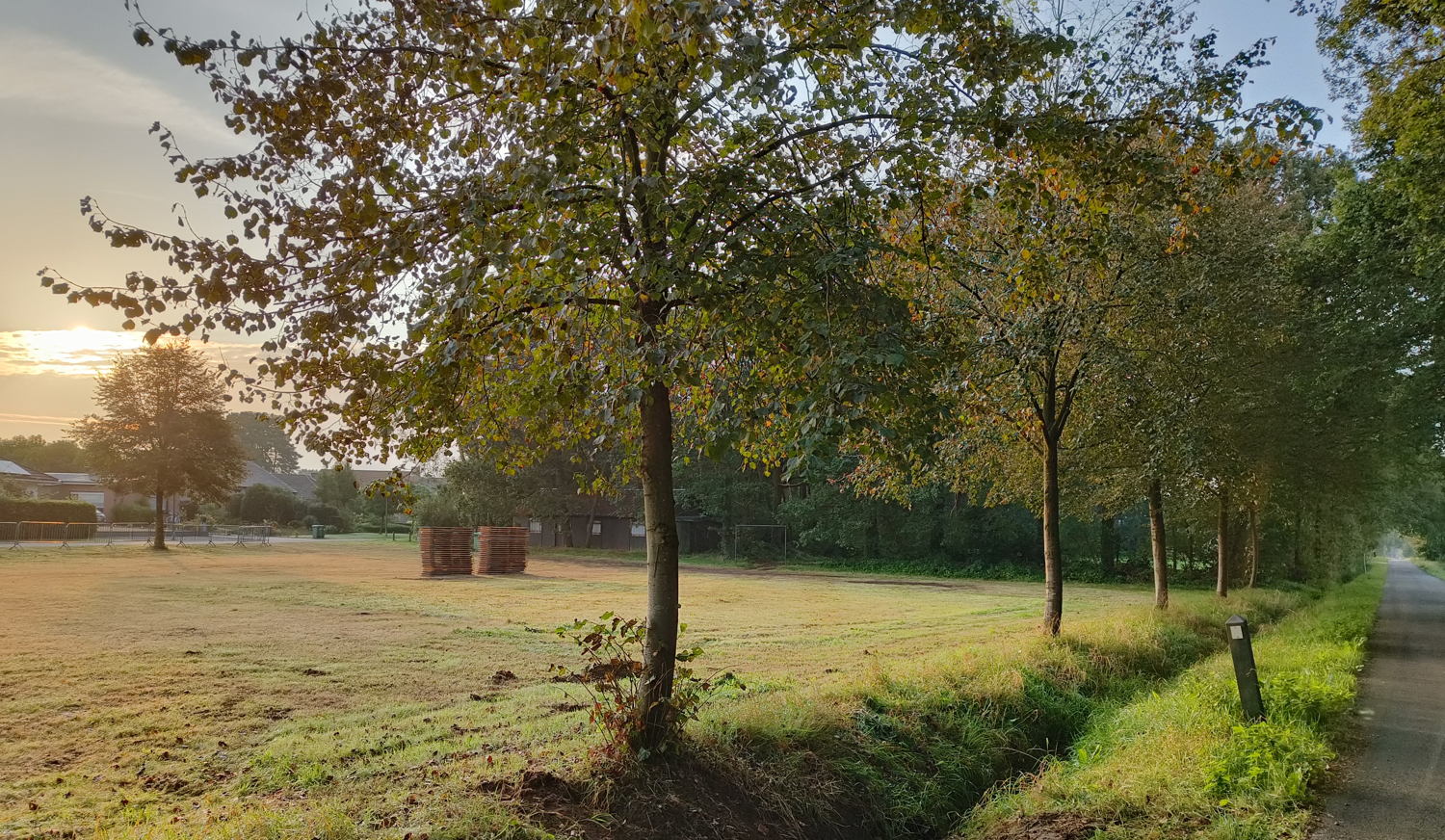 RHIZOMA 2025 – impressie buitenlocatie (grasveld Heiblok-Masereeldijk)