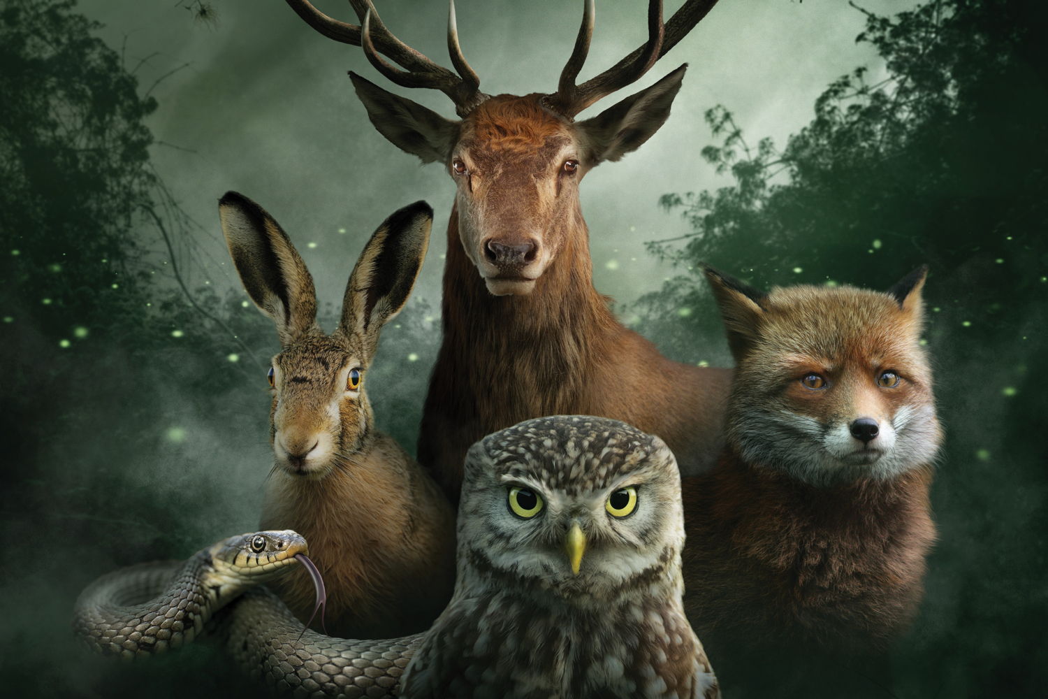 Onze Natuur – © VRT