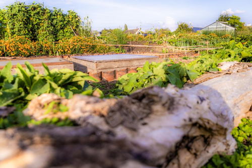 foto's Jan Aelberts