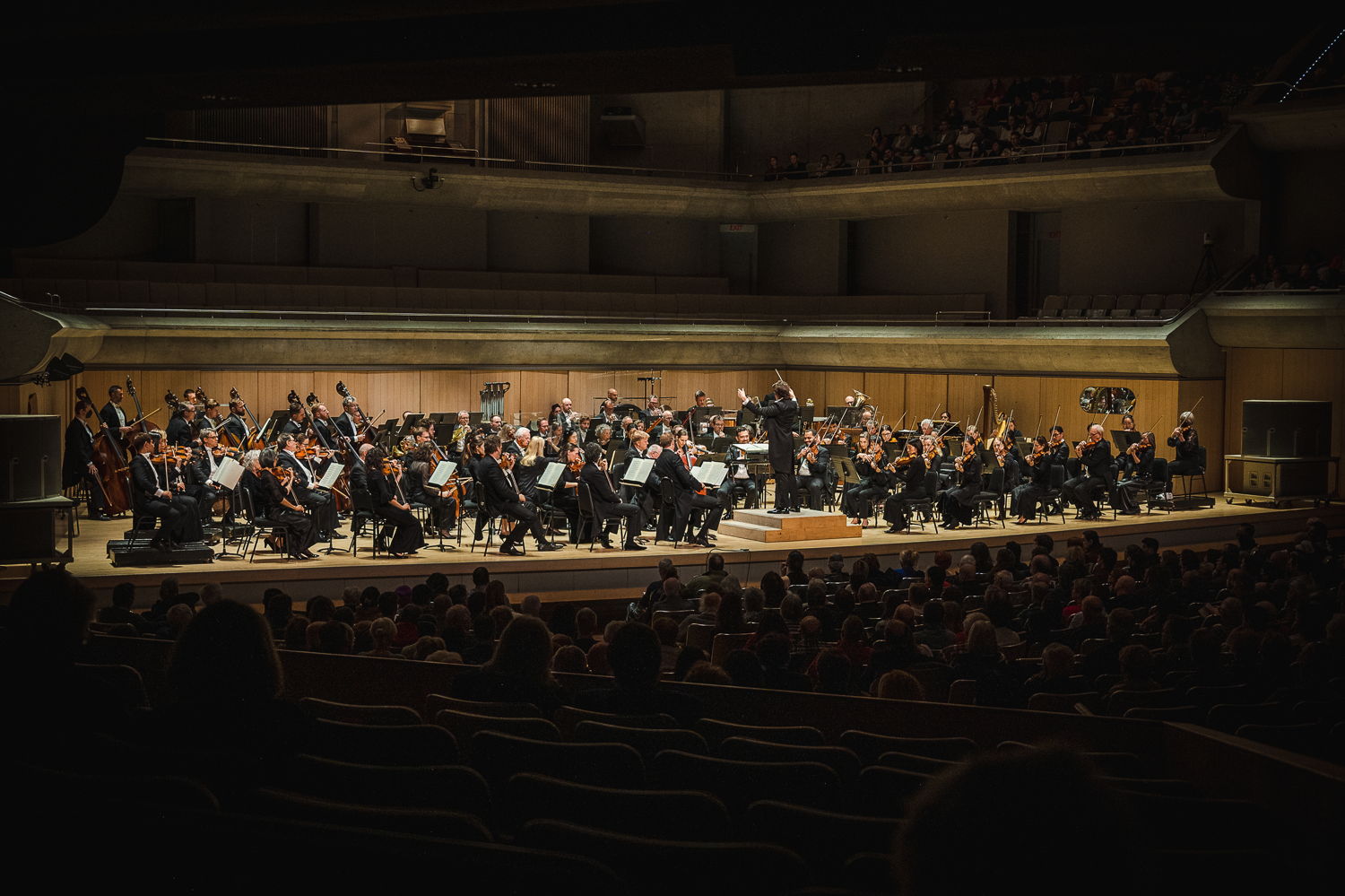 The Toronto Symphony Orchestra (Photo by Allan Cabral/Toronto Symphony Orchestra)