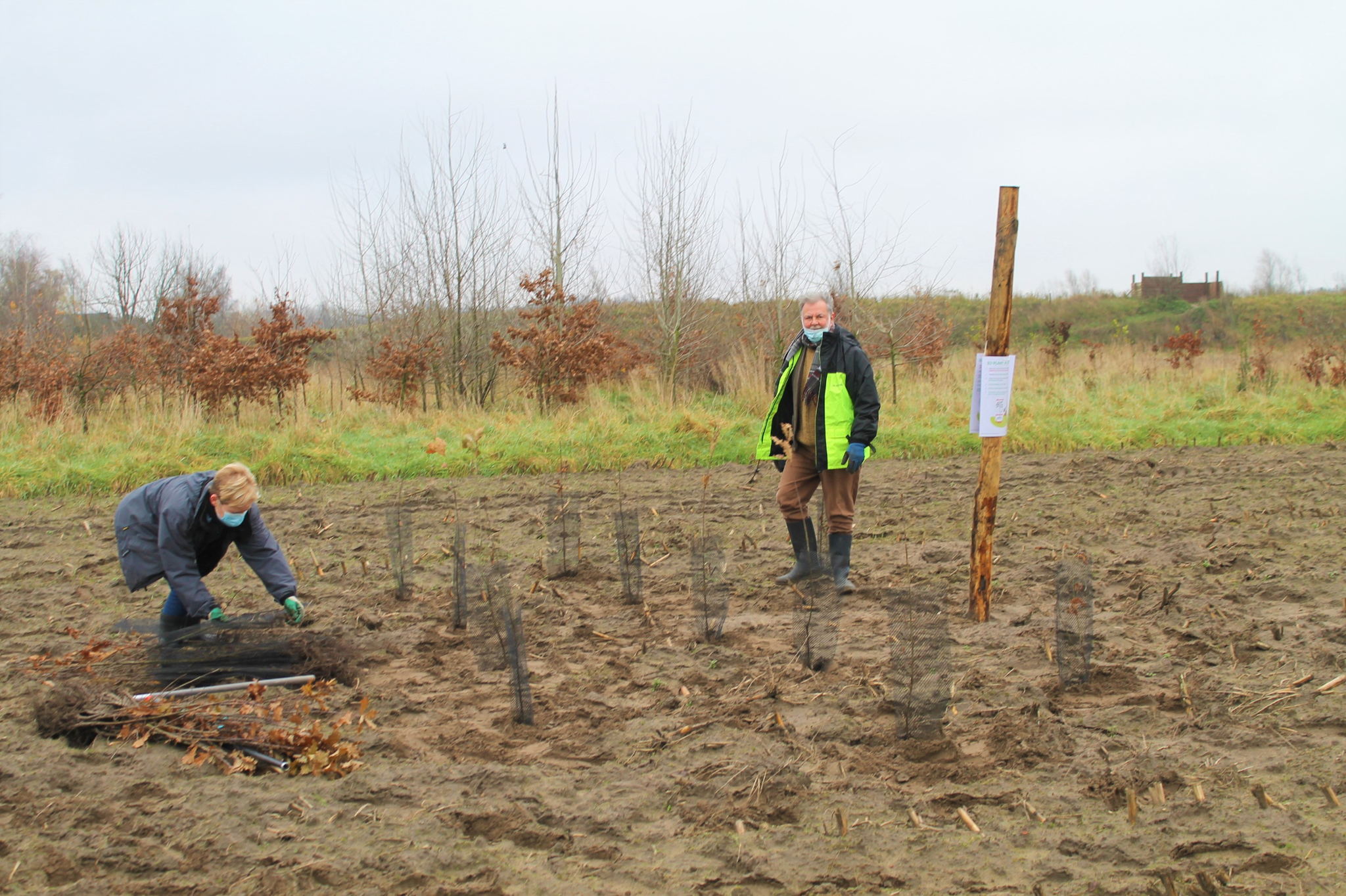 Planten in kloempen geeft meer variatie bij de ontwikkeling van het bos, meer uitleg in het filmpje