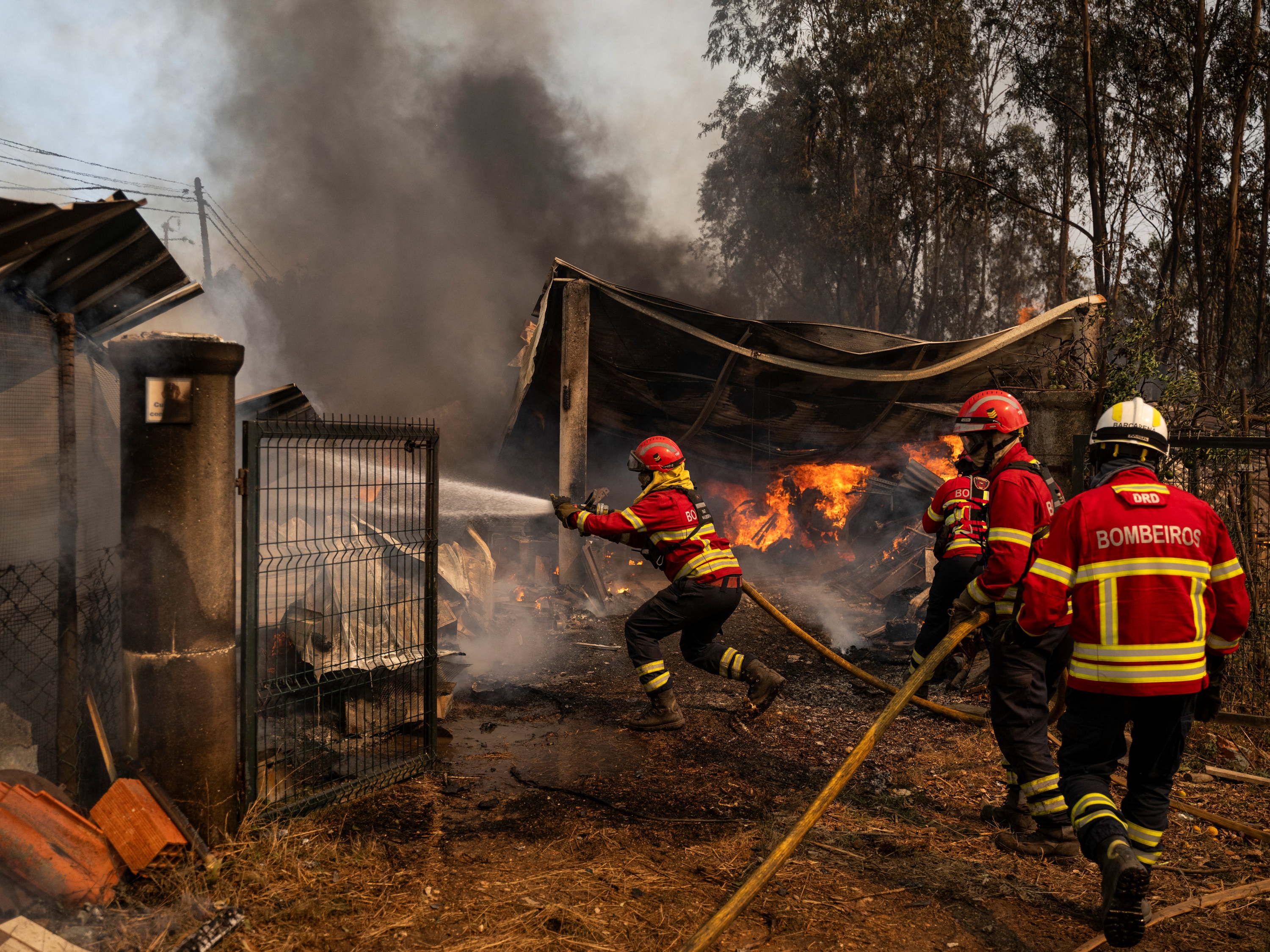 EU assembles firefighting teams to support countries at risk of wildfires