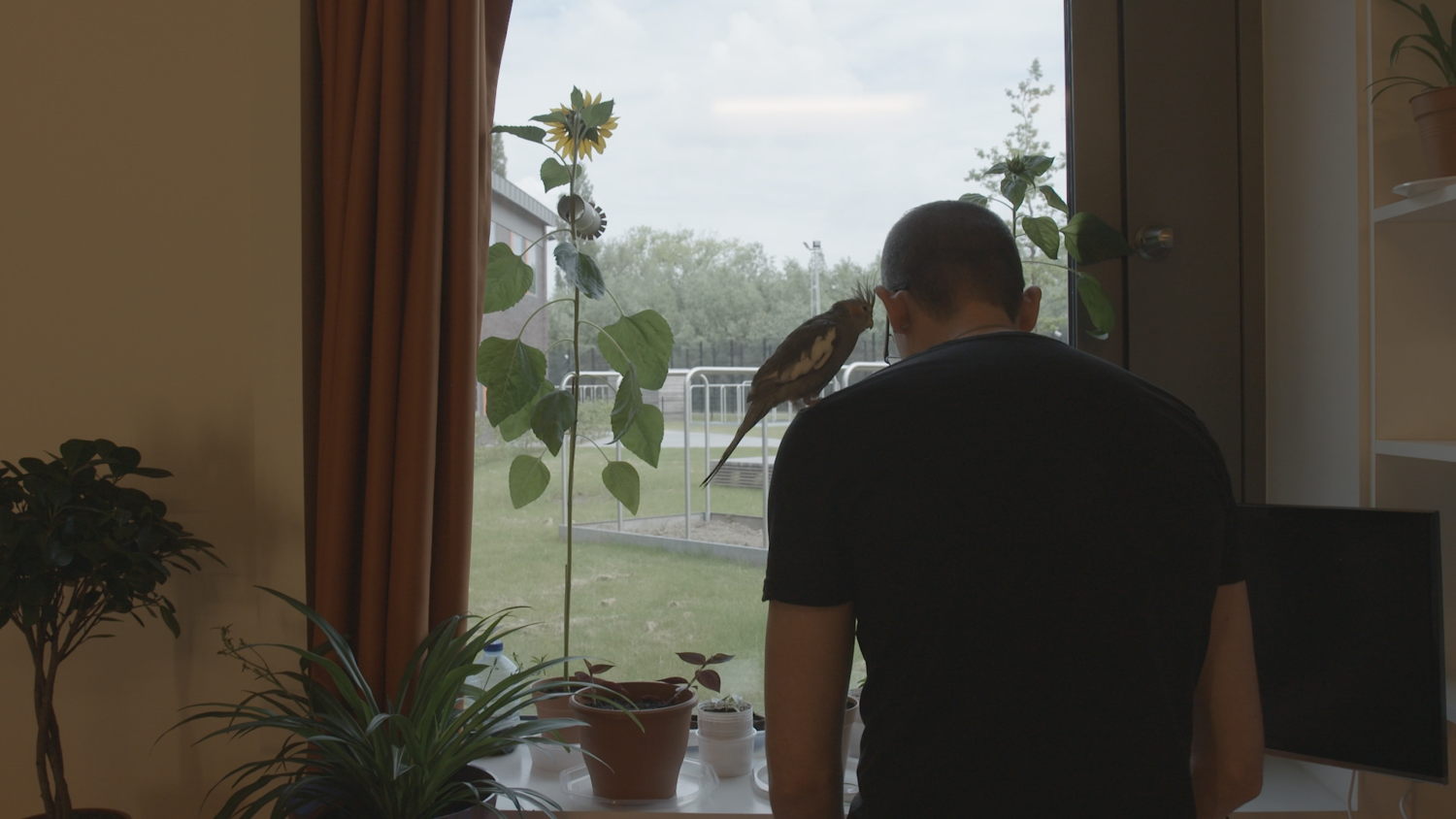 Koppen: Weg van de waanzin
(c) VRT