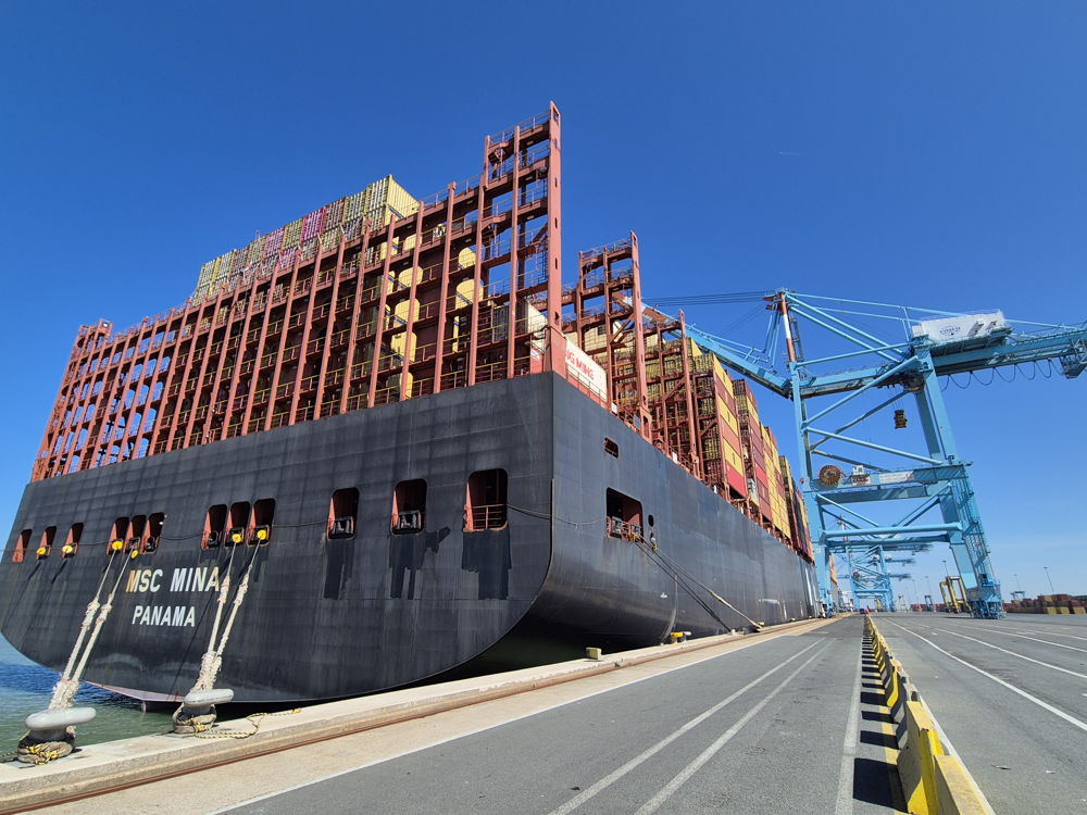 MSC Mina - copyright CSP 