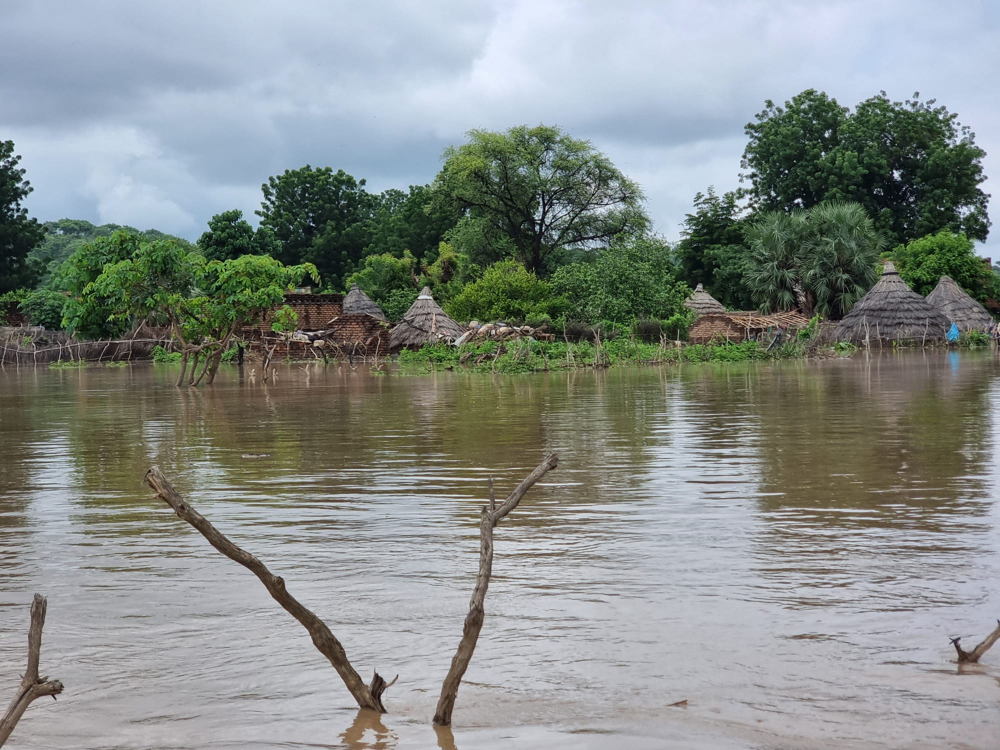 Copyright: MSF Countries: Chad Date taken / Date Recorded: 16 August, 2024 Caption / Description: Massive flooding in eastern Chad has decimated the town of Koukou, thousands are now stranded with inadequate food, shelter or drinking water