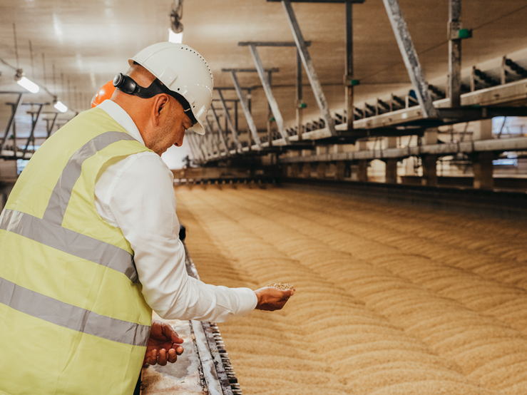 Ontdek de magie achter je pils tijdens de jobdag bij Mouterij Albert op zaterdag 25 januari