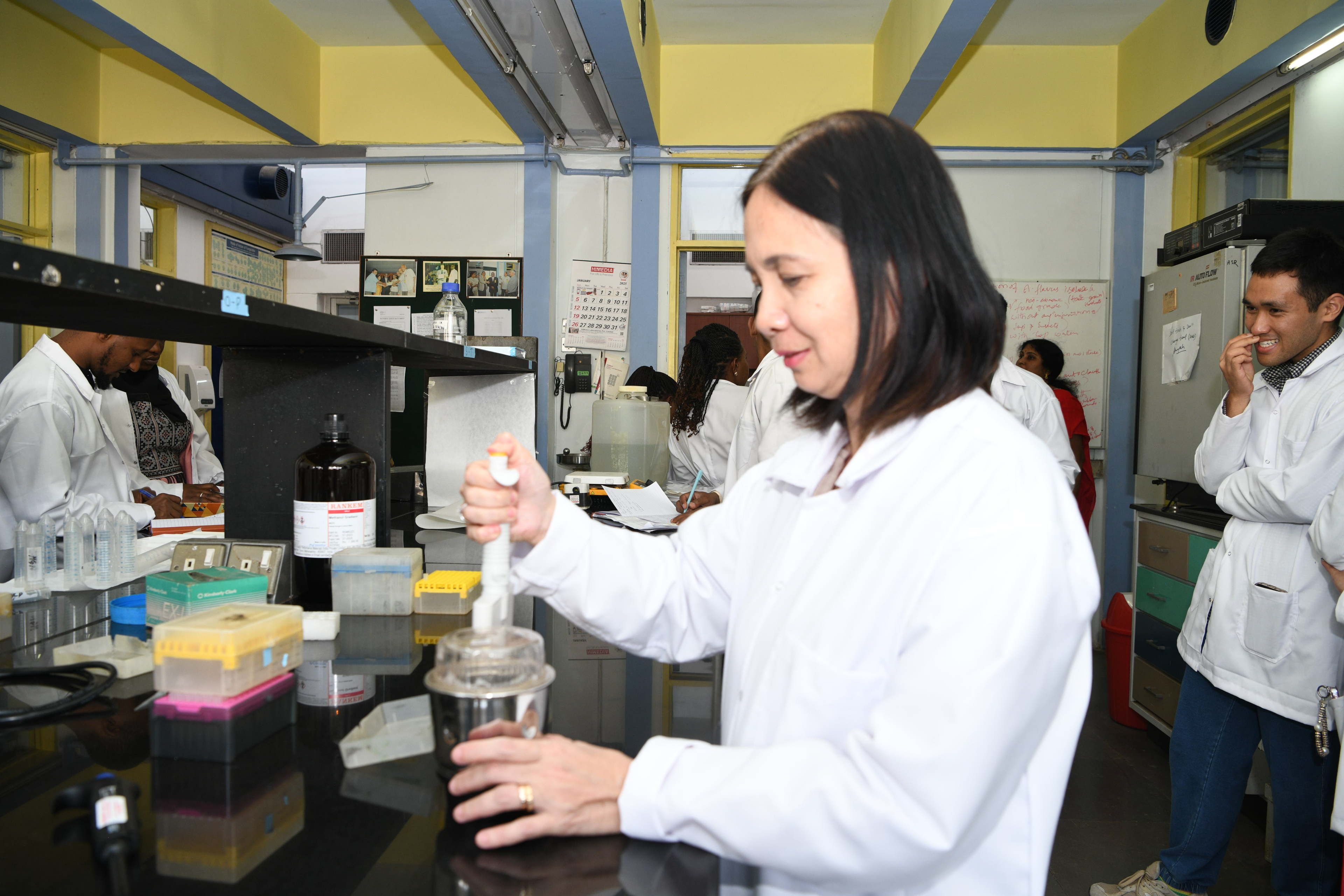 Creating a Network of Aflatoxin Management Champions in the