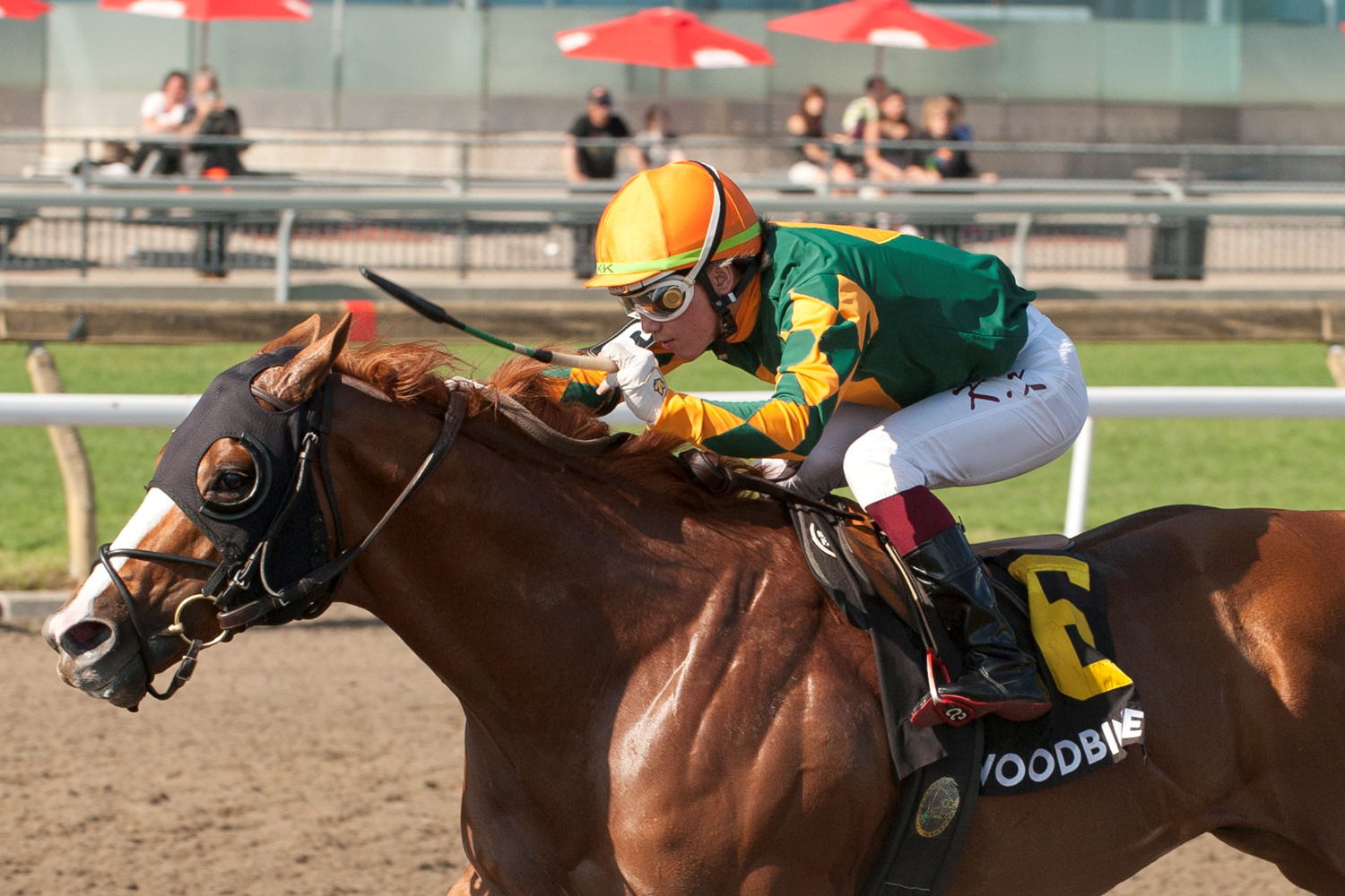 Arzak, captured the Grade 3 Jacques Cartier Stakes for trainer Michael Trombetta and owner Sonata Stables at Woodbine on Sunday. The four-year-old colt was ridden by Kazushi Kimura. (Michael Burns Photo)