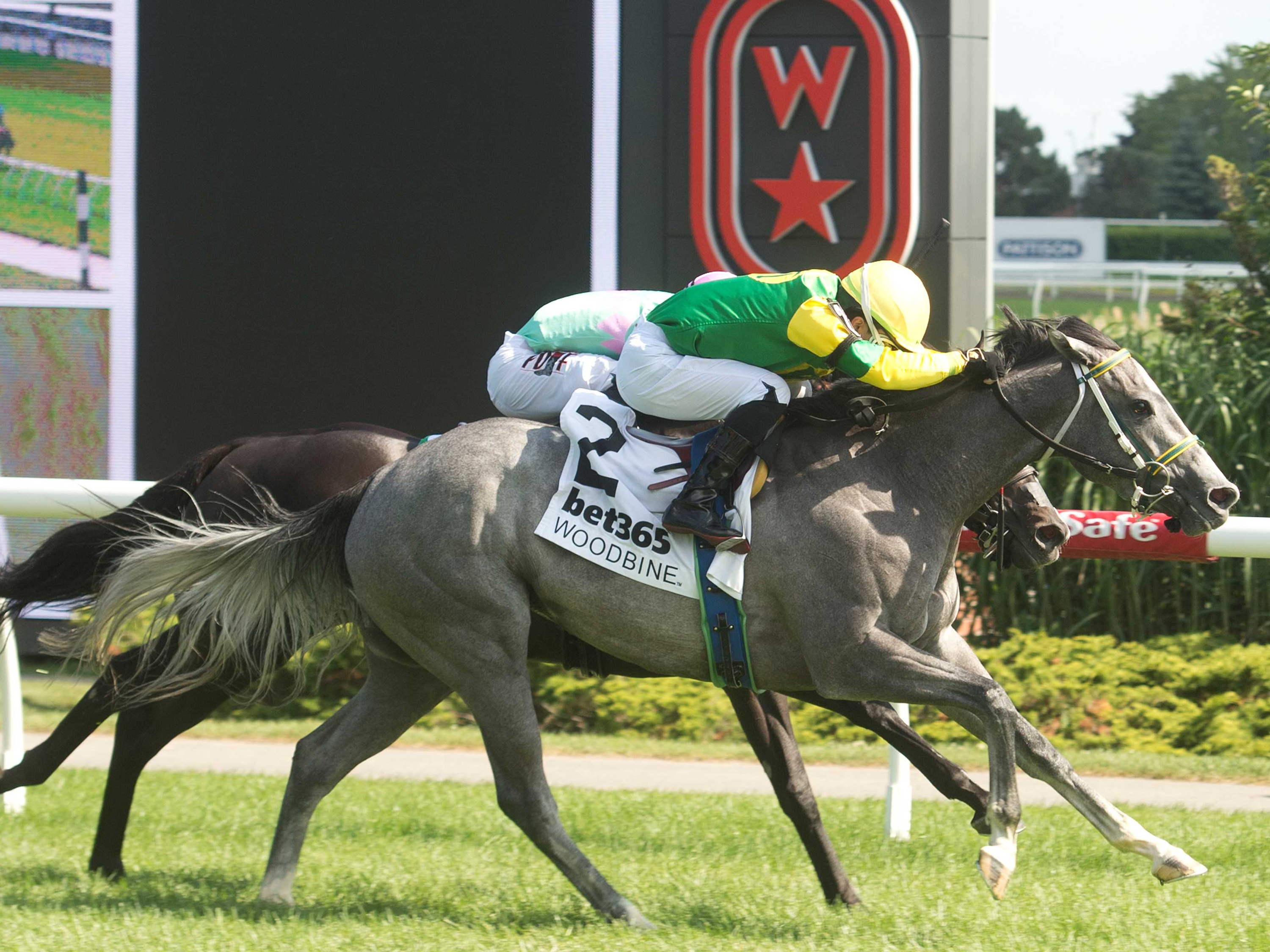 Four Yearling Sales Stakes share the billing on Sunday at Woodbine
