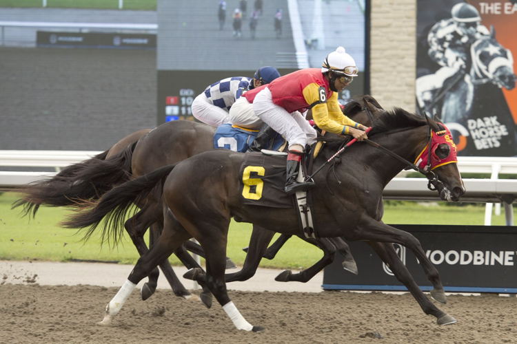 Dancin in Da'nile and jockey Shaun Bridgmohan winning on the Tapeta on August 29 2021 at Woodbine. (Michael Burns Photo)