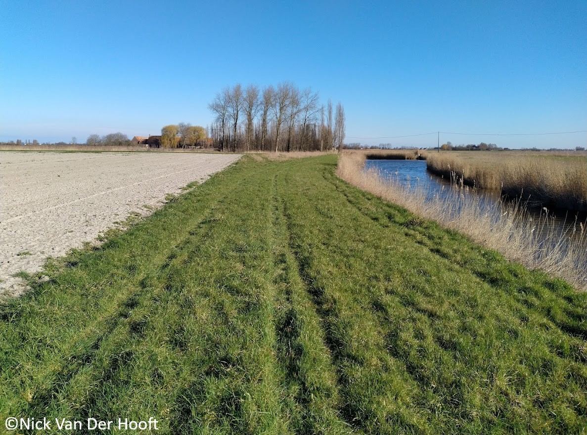 Een rand die beschadigd is doordat er een voertuig over gereden heeft. Een rand die beschadigd is doordat er een voertuig over gereden heeft.