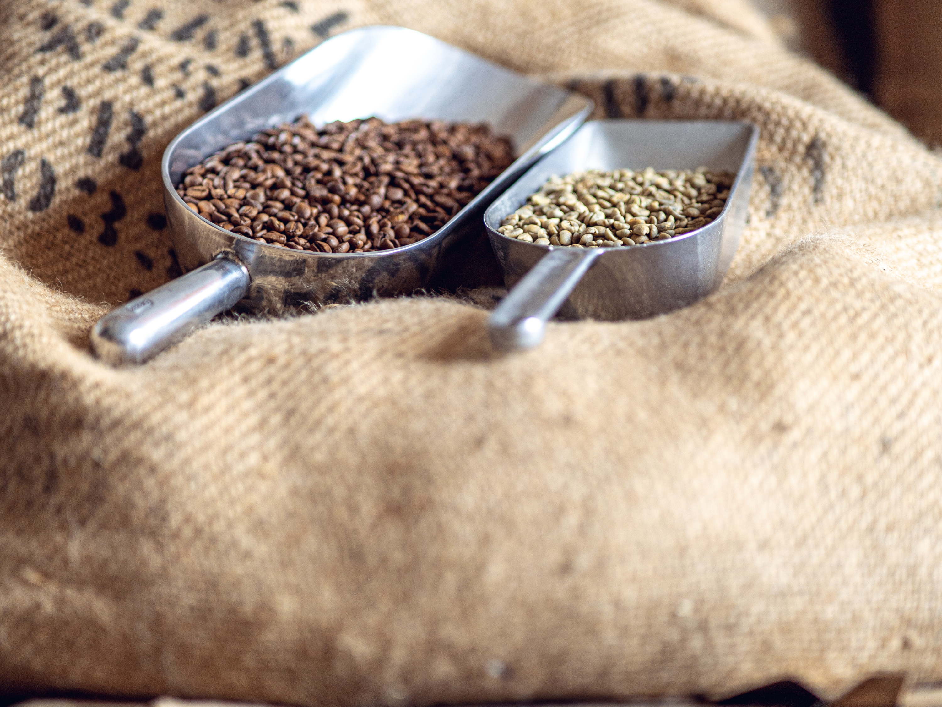 INVITE
Eerste Speciality Coffee and Bean To Bar Chocolade Festival in België