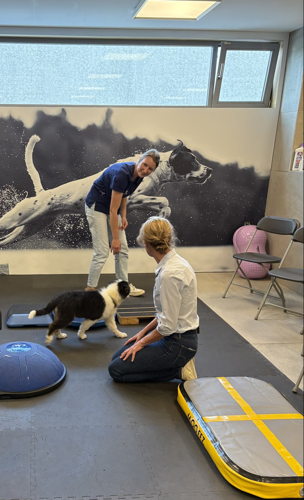 Charlotte Vandermarliere (dierenartsassistente bij AniCura Causus) en Katrien Sinnaeve met pup Charlotte Vandermarliere (dierenartsassistente bij AniCura Causus) en Katrien Sinnaeve met pup