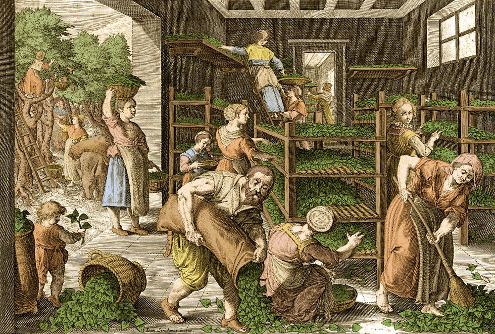 People gathering leaves from mulberry trees planted outside; to the right, a room with various shelves with silkworms on them; people arranging the leaves on the shelves to feed the silkworms. The production of silk originated in China in prehistoric times. Silk remained confined to China until the Silk Road opened at some point during the later half of the first millennium BC. The Crusades brought silk production to Western Europe, in particular to many Italian states, which saw an economic boom exporting silk to the rest of Europe. Changes in manufacturing techniques also began to take place during the Middle Ages, with devices such as the spinning wheel first appearing. Taken from Vermis serivs, The history of the silkworm and silk-spinning, engraving by Karel van Mallery, circa 1590-1600 AKG7420122 ©akg-images / Science Source People gathering leaves from mulberry trees planted outside; to the right, a room with various shelves with silkworms on them; people arranging the leaves on the shelves to feed the silkworms. The production of silk originated in China in prehistoric times. Silk remained confined to China until the Silk Road opened at some point during the later half of the first millennium BC. The Crusades brought silk production to Western Europe, in particular to many Italian states, which saw an economic boom exporting silk to the rest of Europe. Changes in manufacturing techniques also began to take place during the Middle Ages, with devices such as the spinning wheel first appearing. Taken from Vermis serivs, The history of the silkworm and silk-spinning, engraving by Karel van Mallery, circa 1590-1600 AKG7420122 ©akg-images / Science Source
