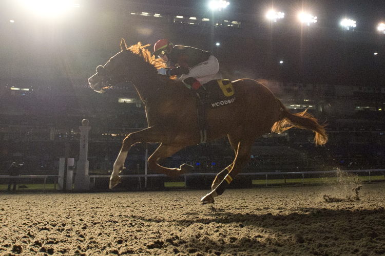  Shamans Girl and jockey Ryan Munger winning the Shady Well stakes on December 2, 2023 at Woodbine (Michael Burns Photo)