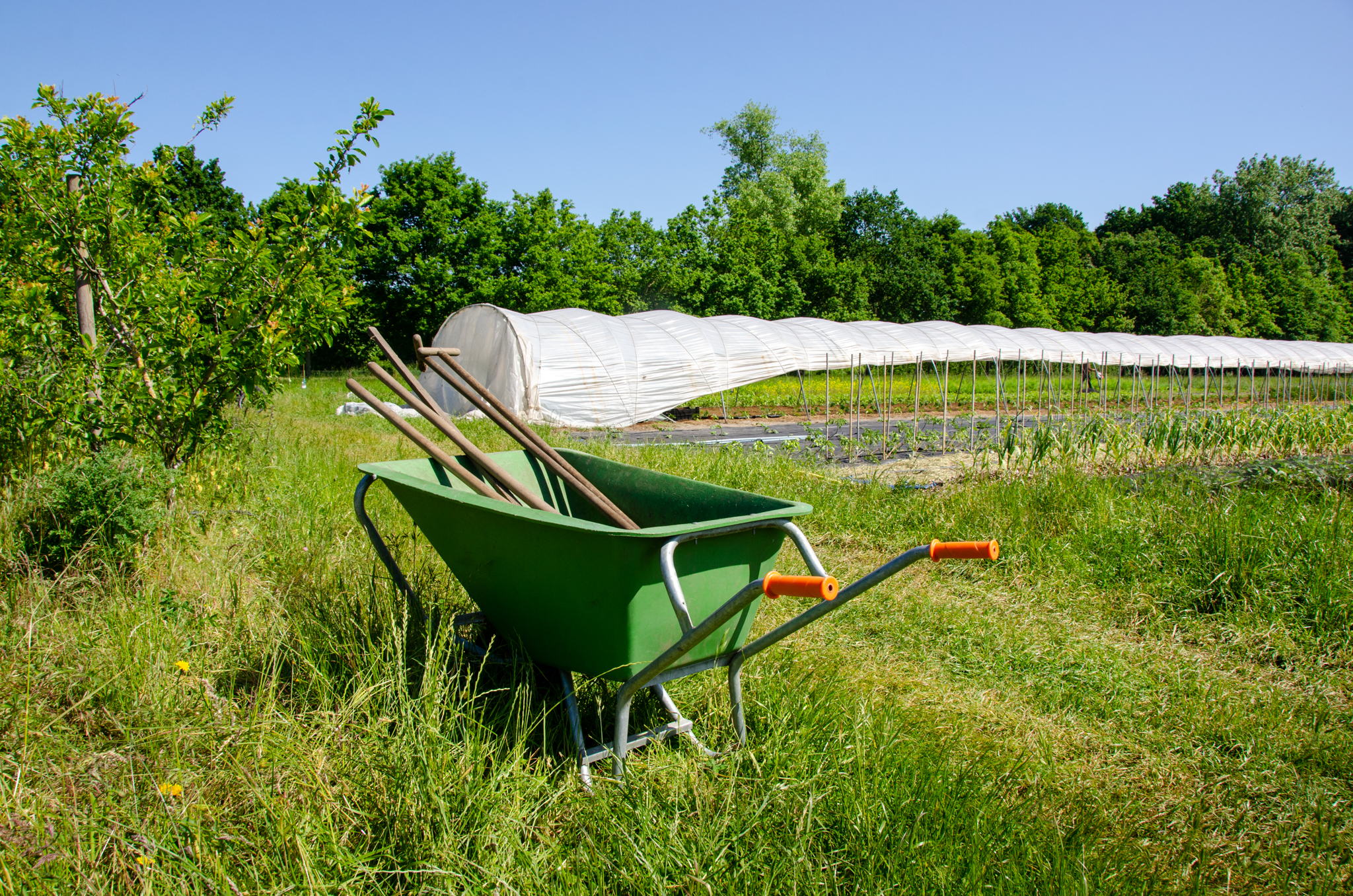 Zelfoogstboerderij - ©Vlaamse Landmaatschappij, Kyra Boelens