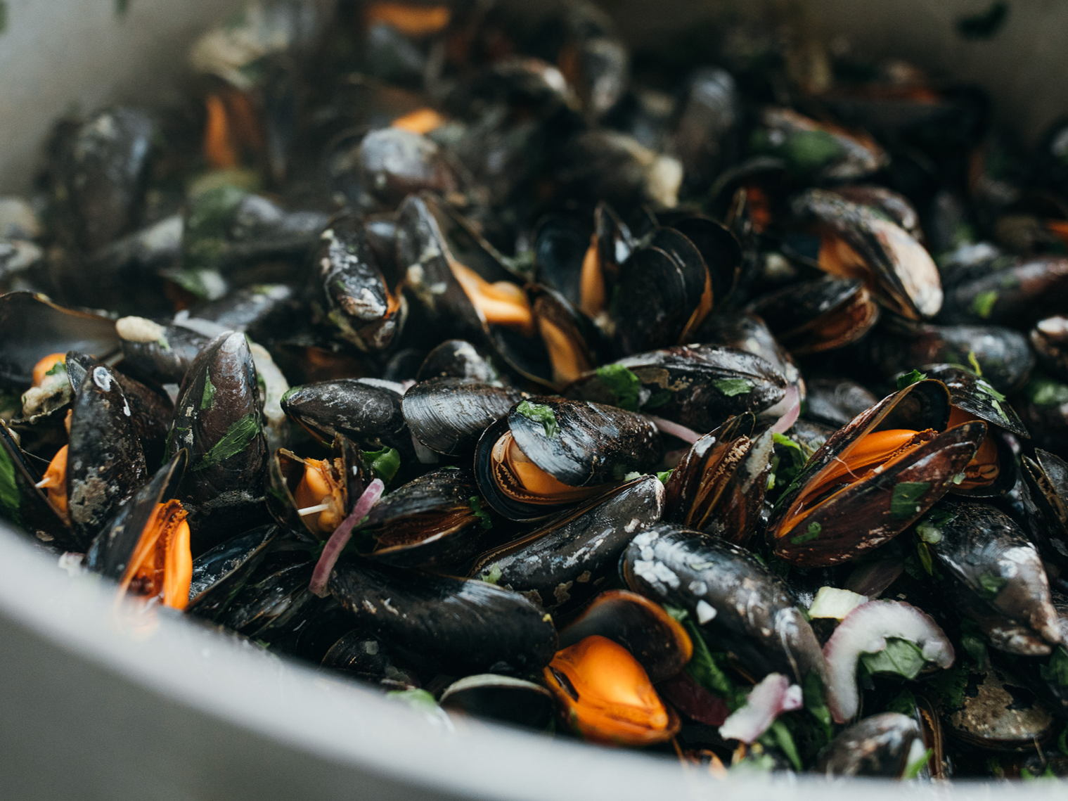 Plus tôt que prévu : les moules de culture de fond de Zélande disponibles chez ALDI