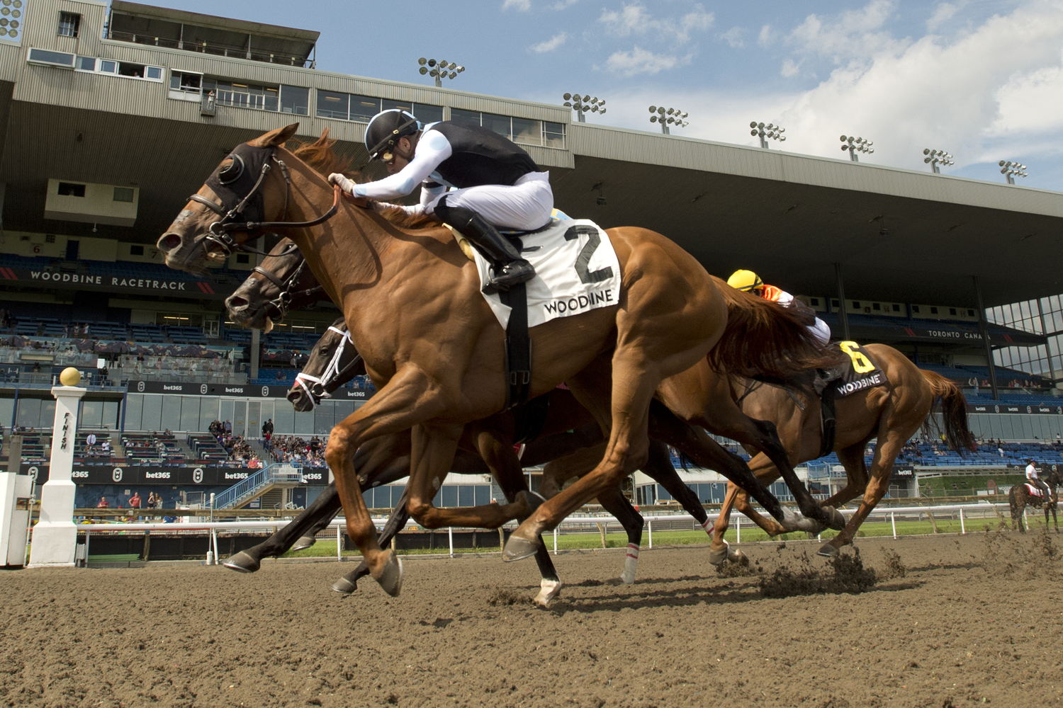 Solo Album and jockey Sahin Civaci winning the Trillium Stakes Presented by Don Julio (G3) on July 20, 2024 at Woodbine (Michael Burns Photo)